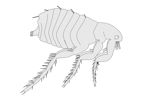 Мультяшна ілюстрація блошиної комахи — стокове фото