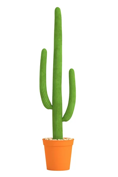 Realistyczne renderowanie 3d kaktusów — Zdjęcie stockowe