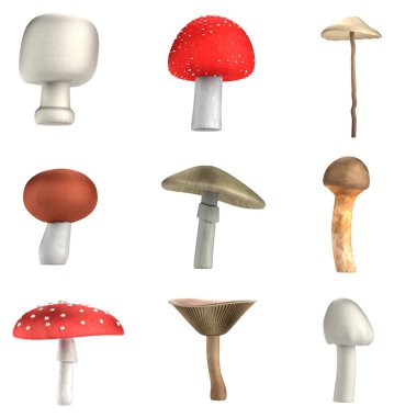 zehirli mantarlar gerçekçi 3d render