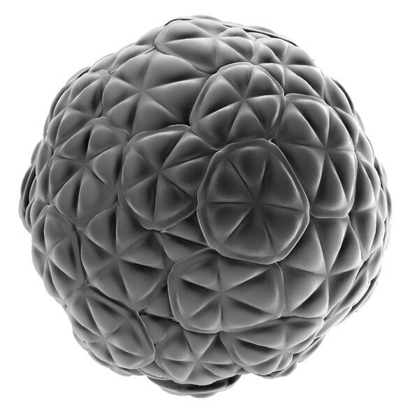 Реалистичный 3D-рендеринг Морулы
