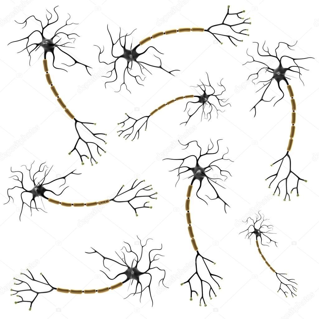 Realistic 3d render of neuron