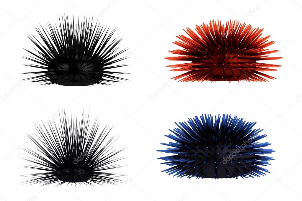 Realistic 3d render of sea urchins