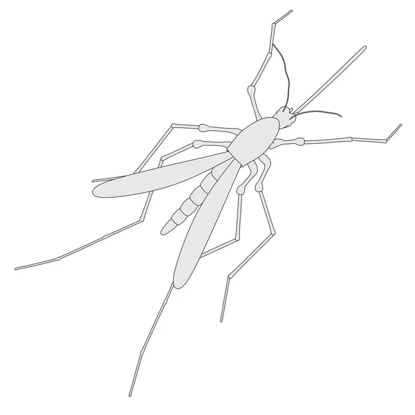 Cartoon afbeelding van mug insect — Stockfoto