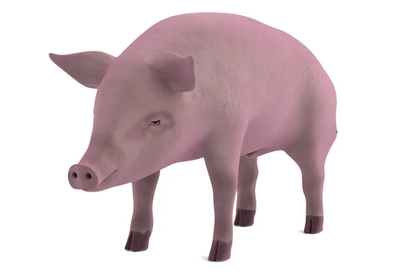Реалістична 3d візуалізація свині чоловічої статі — стокове фото