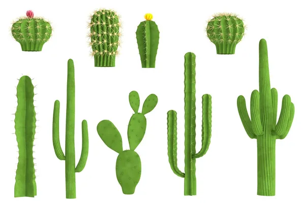 Realista 3d render de conjunto de cactus —  Fotos de Stock