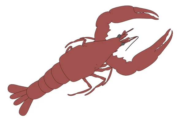 Cartoon image of lobster animal — Stock Photo, Image