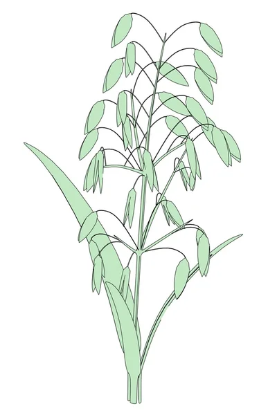 Kreskówka obraz owsiana roślina — Zdjęcie stockowe
