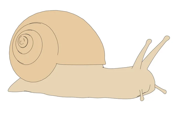 Imagen de dibujos animados de caracol animal —  Fotos de Stock