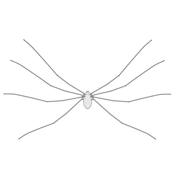 Cartoon image of spider animal — Stock Photo, Image