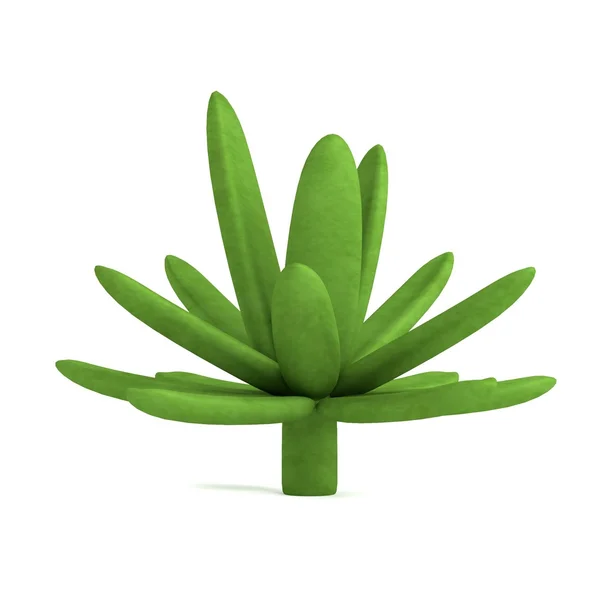 Rendu 3d réaliste de succulent — Photo