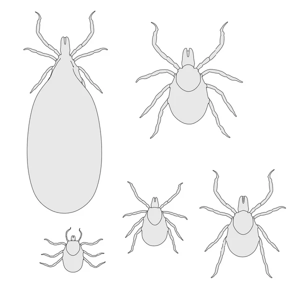 Cartoon image of ticks set — Stock Photo, Image