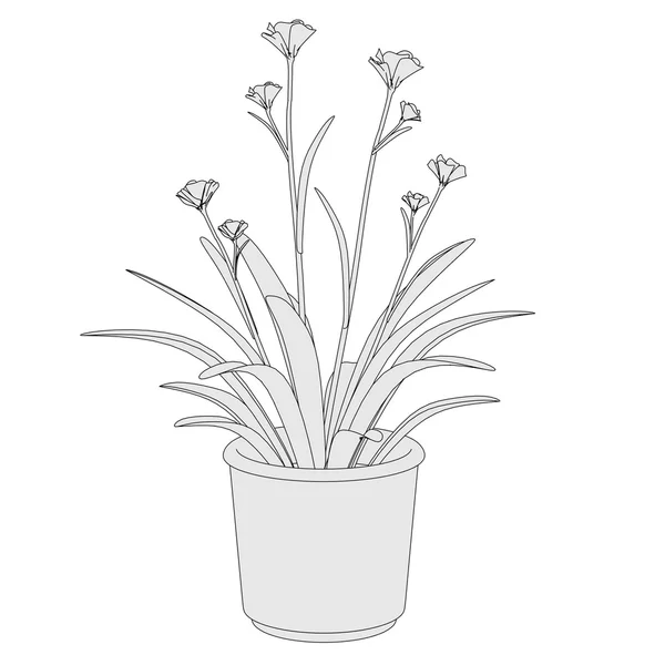 Karikaturbild der Pflanze im Topf — Stockfoto