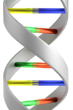 Realistic 3d render of DNA clipart