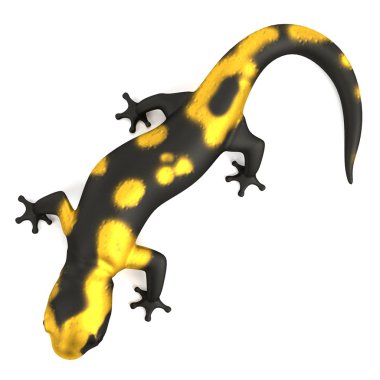 salamander gerçekçi 3d render