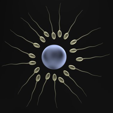 spermlerinin gerçekçi 3d render