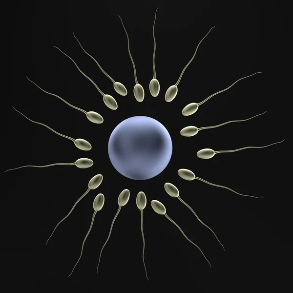 Realistic 3d render of sperms — Stock Photo, Image