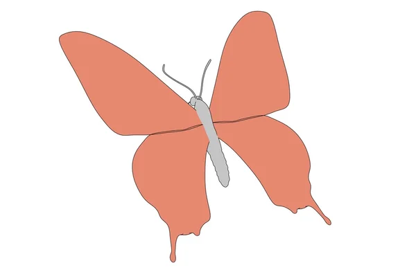 Desenhos animados imagem de animal borboleta — Fotografia de Stock