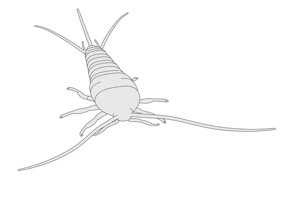 卡通形象的 lepisma saccharina — 图库照片