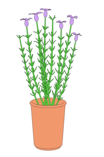 Cartoon image of plant in pot — Stock Photo, Image