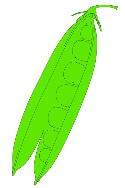 Cartoon image of pea plant — Stock Photo, Image