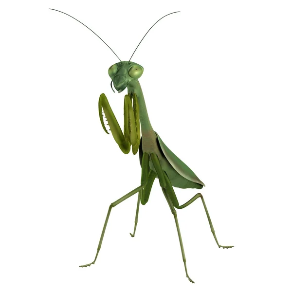 Realista 3d render de mantis — Foto de Stock