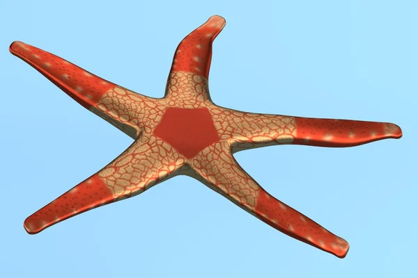 Seastar のリアルな 3 d レンダリング — ストック写真