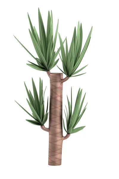 Реалістичний 3d візуалізація yucca — стокове фото