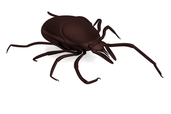 Realistic 3d render of tick — Stock Photo, Image