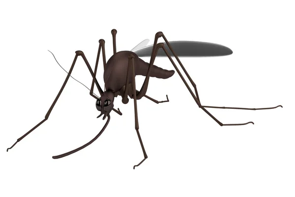 Realistic 3d render of mosquito — Stock Photo, Image