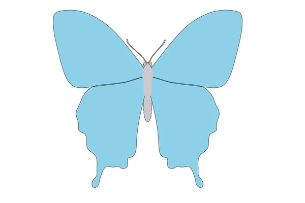 Desenhos animados imagem de animal borboleta — Fotografia de Stock