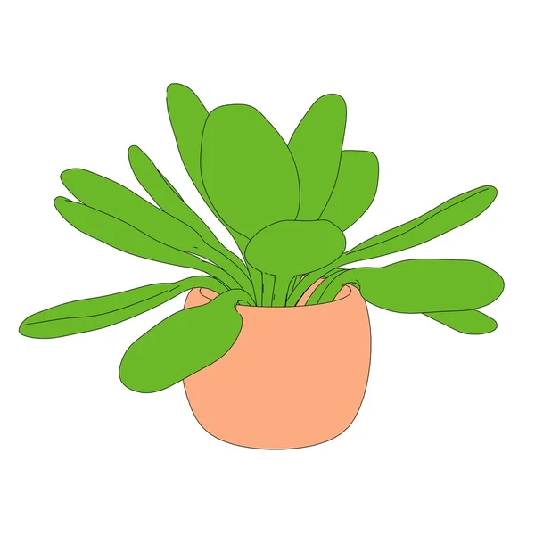 Kreskówka obraz roślina w doniczce — Zdjęcie stockowe