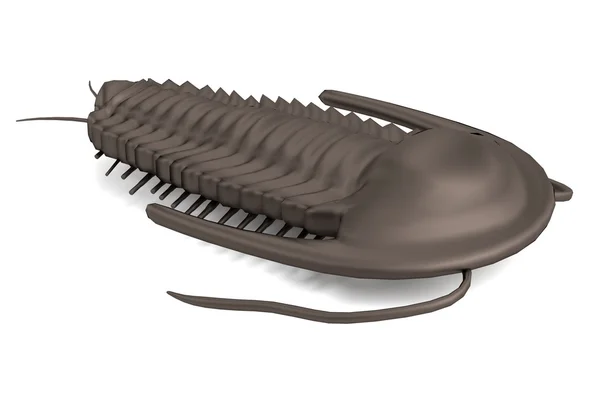 Realista 3d renderizado de trilobites — Foto de Stock