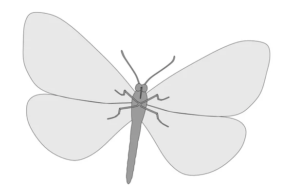 Buttefly hayvan çizgi film resim — Stok fotoğraf