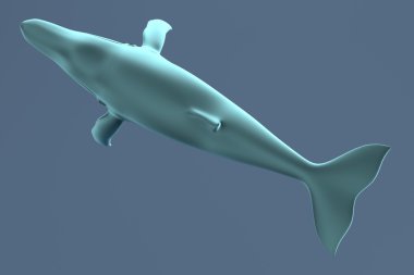 gerçekçi 3d render Whale