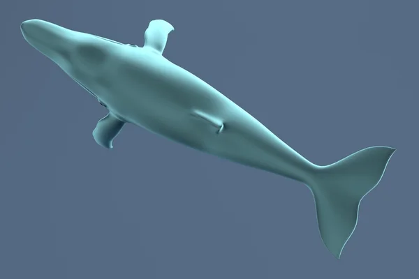 Realistic 3d render of whale — Stock Photo, Image