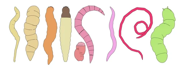 Imagem de desenhos animados de insetos vermes — Fotografia de Stock
