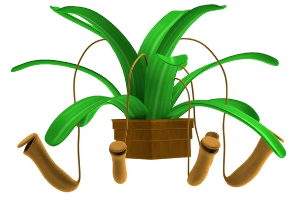 Realistische 3D-Darstellung der fleischfressenden Pflanze — Stockfoto