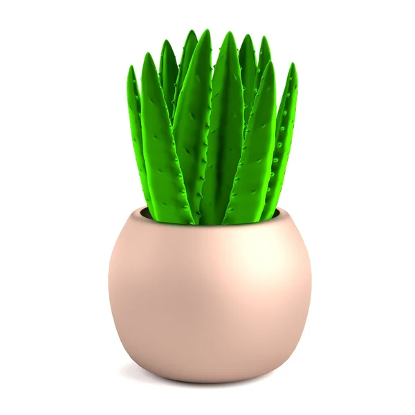 Realistisk 3d render av aloe — Stockfoto