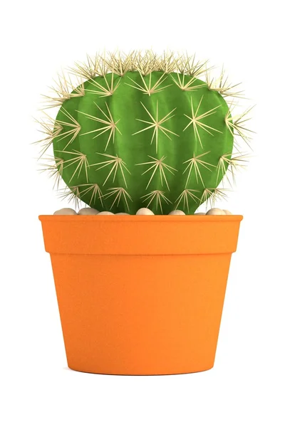 Realista 3d renderizado de cactus —  Fotos de Stock