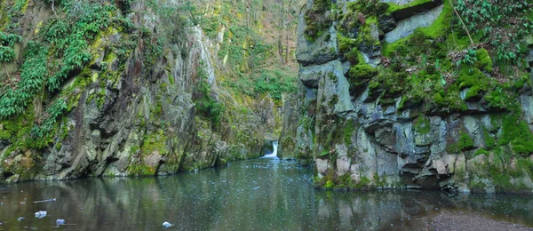Foto von kleinem Wasserfall im Wald — Stockfoto