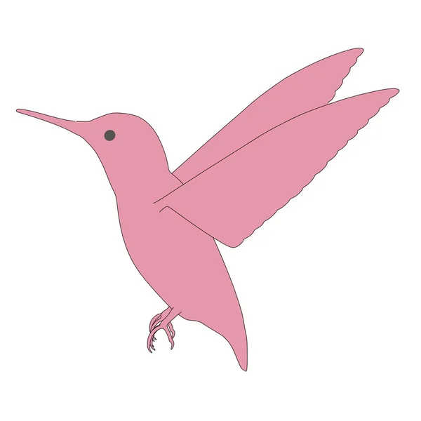 Kreskówka obraz ptak colibri — Zdjęcie stockowe