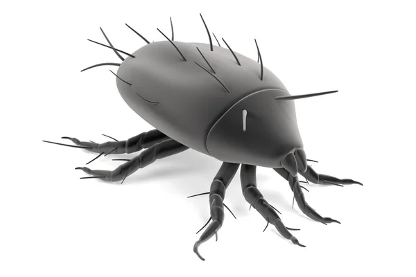 Realistic 3d render of mite — Stock Photo, Image