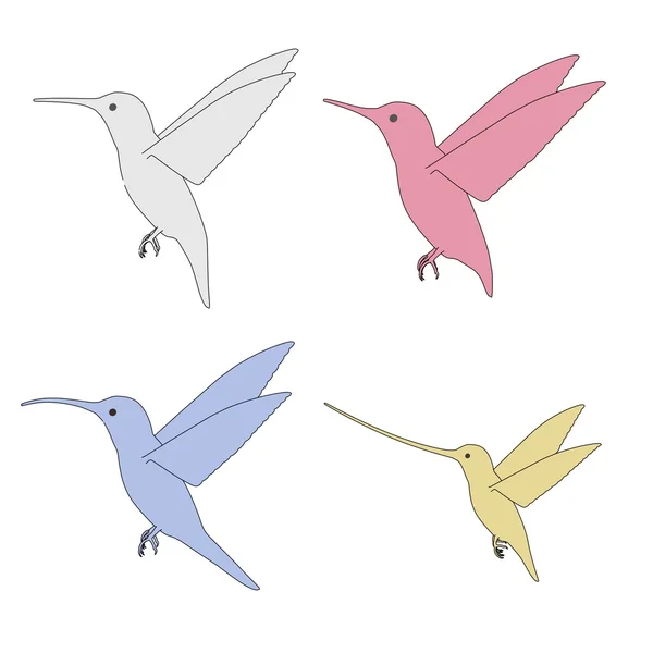 Image of colibri birds — Stock Photo, Image
