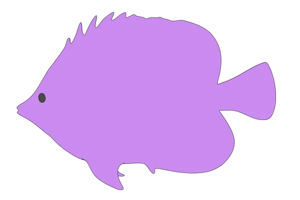热带小鱼的卡通形象 — 图库照片