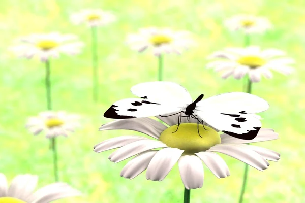 Realistické 3d vykreslení Butterfly — Stock fotografie