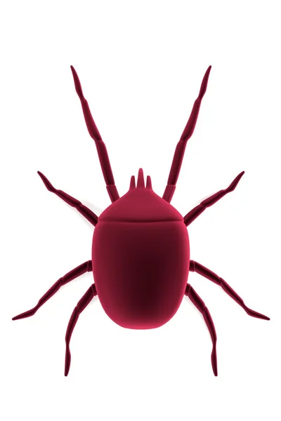 Realistic 3d render of mite — Stock Photo, Image