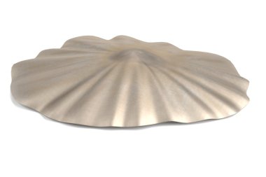 kabuk gerçekçi 3d render