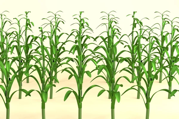 逼真的 3d 模型的玉米田 — 图库照片