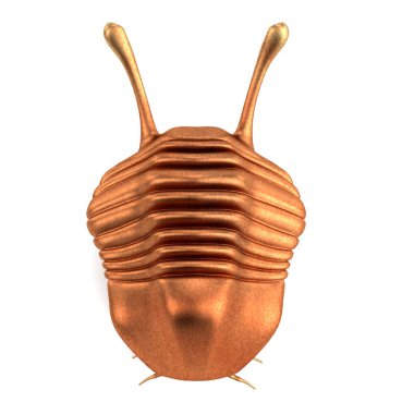 trilobite gerçekçi 3d render