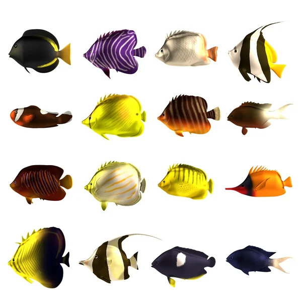 Rendu 3d réaliste de poissons tropicaux — Photo